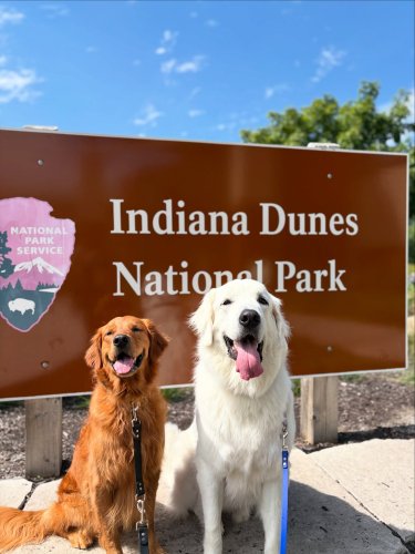 Carousel post from moosesgoldentails.