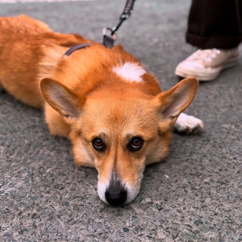 Photo post from toast_flyford.