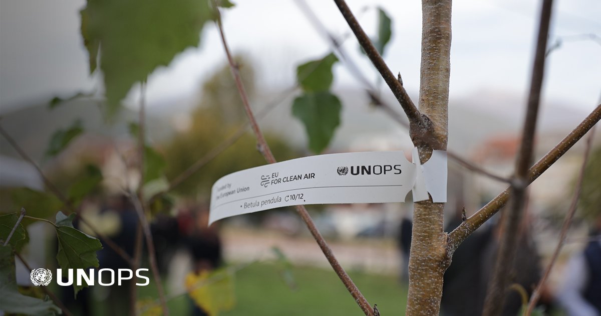 Photo post from @UNOPS.