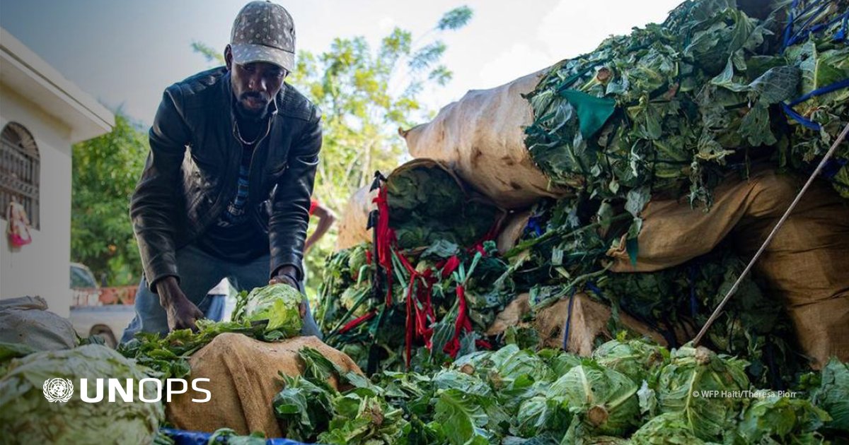 Photo post from @UNOPS.