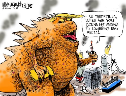 Photo post from @mluckovichajc.
