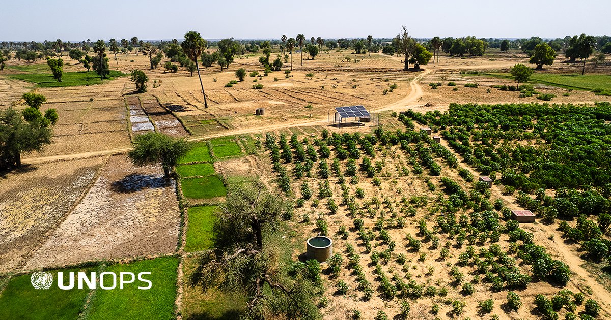Photo post from @UNOPS.
