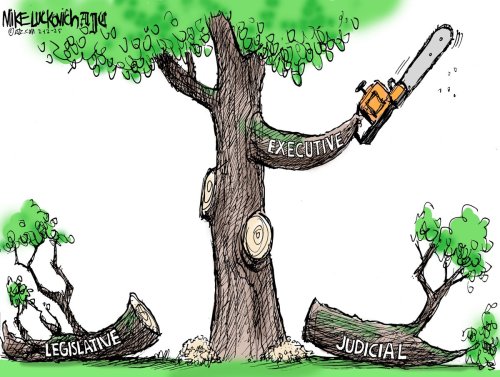Photo post from @mluckovichajc.