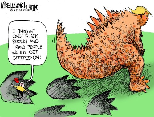 Photo post from @mluckovichajc.