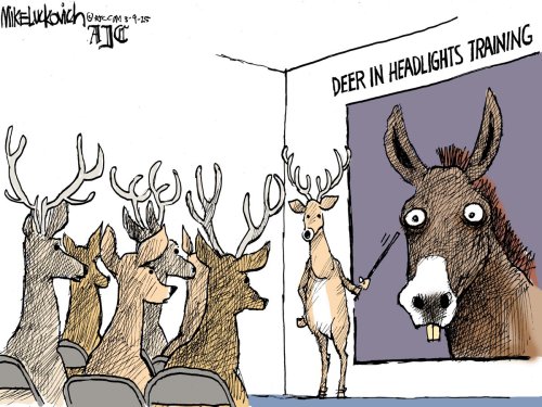 Photo post from @mluckovichajc.