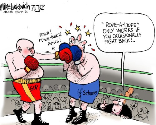 Photo post from @mluckovichajc.