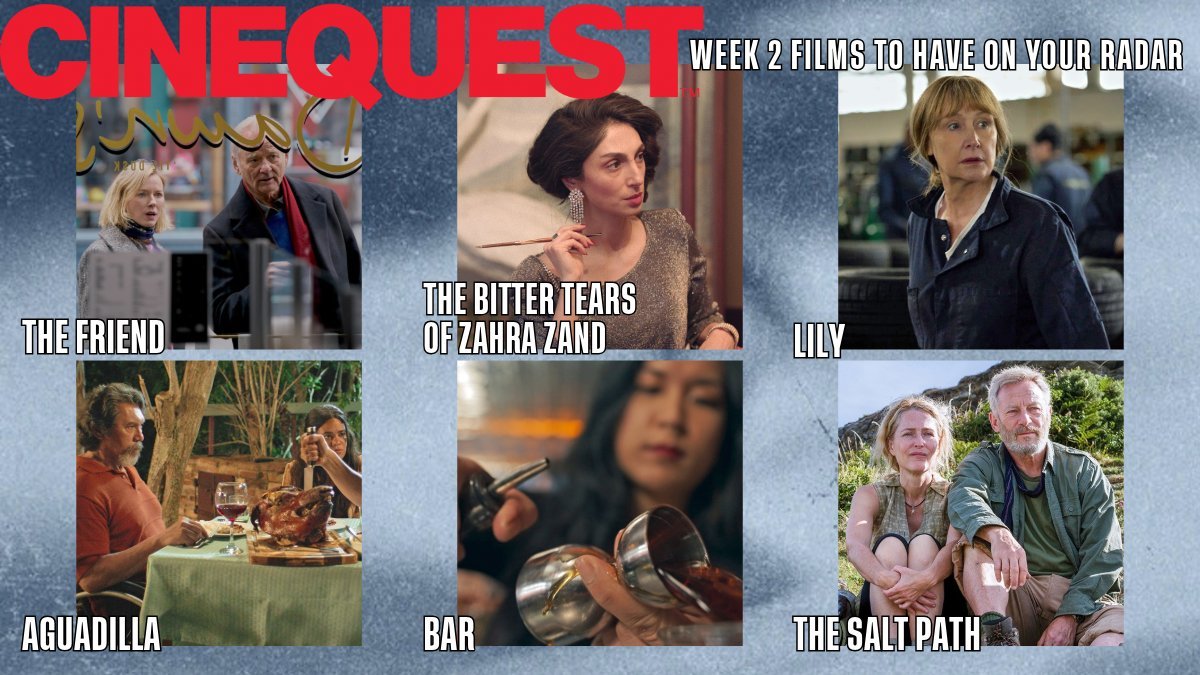 Carousel post from @Cinequest.