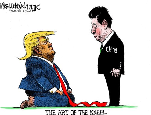 Photo post from @mluckovichajc.