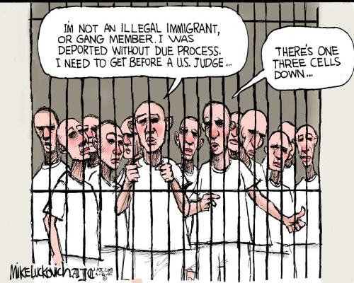 Photo post from @mluckovichajc.