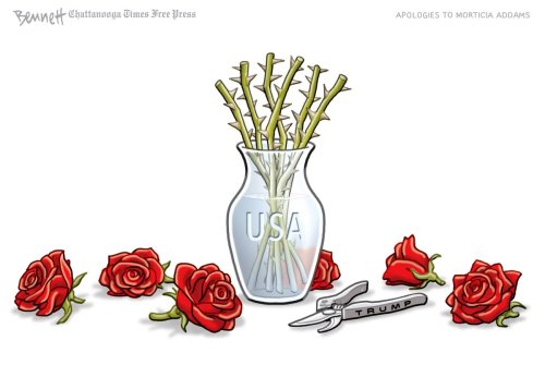 Photo post from @BennettCartoons.