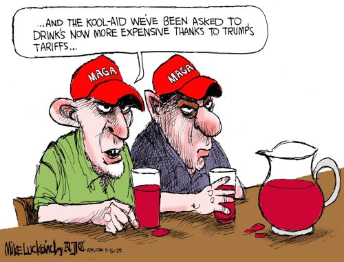 Photo post from @mluckovichajc.