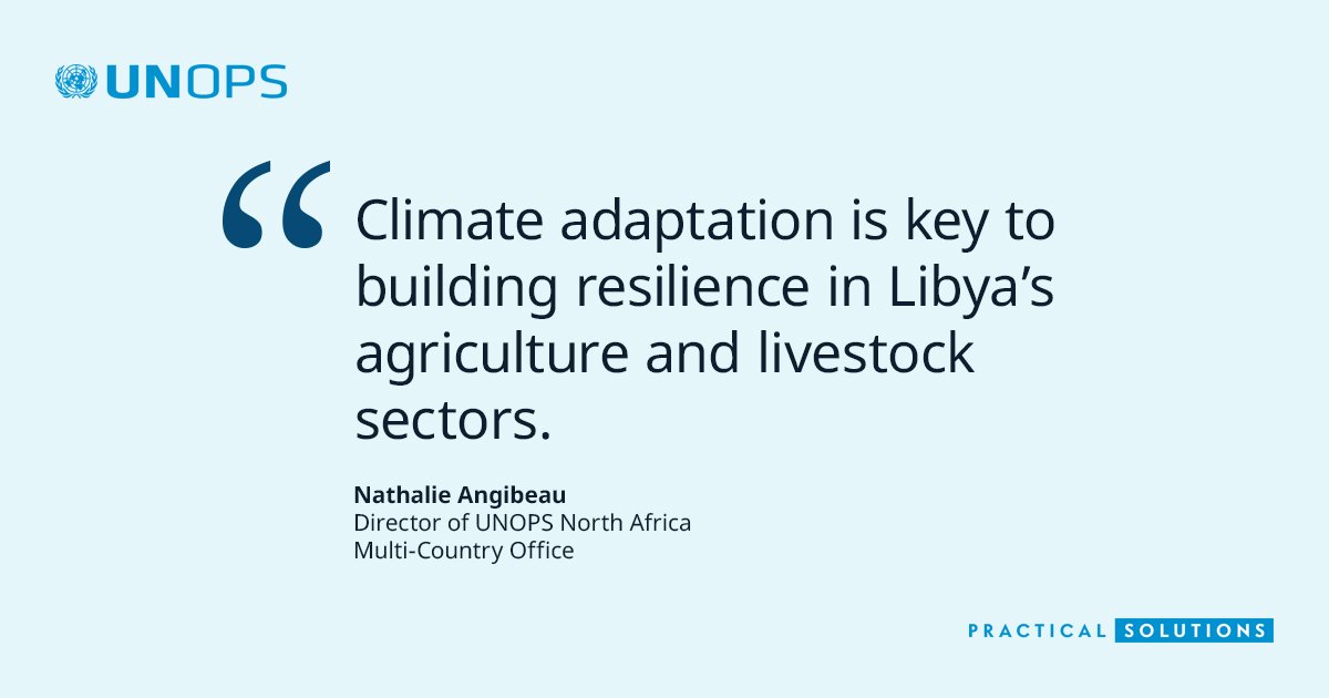 Photo post from @UNOPS.