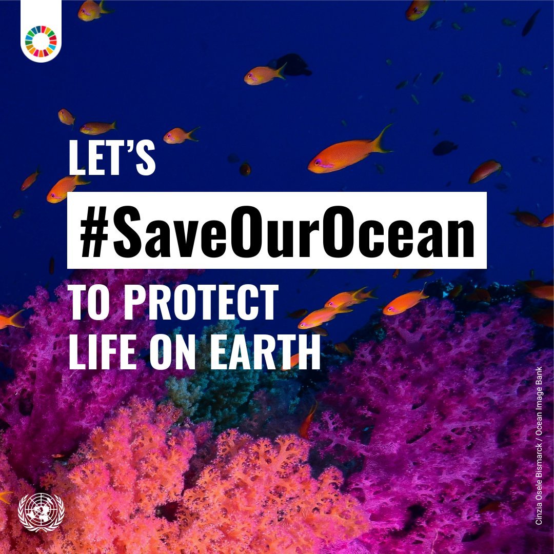 Photo post from @UNOPS.