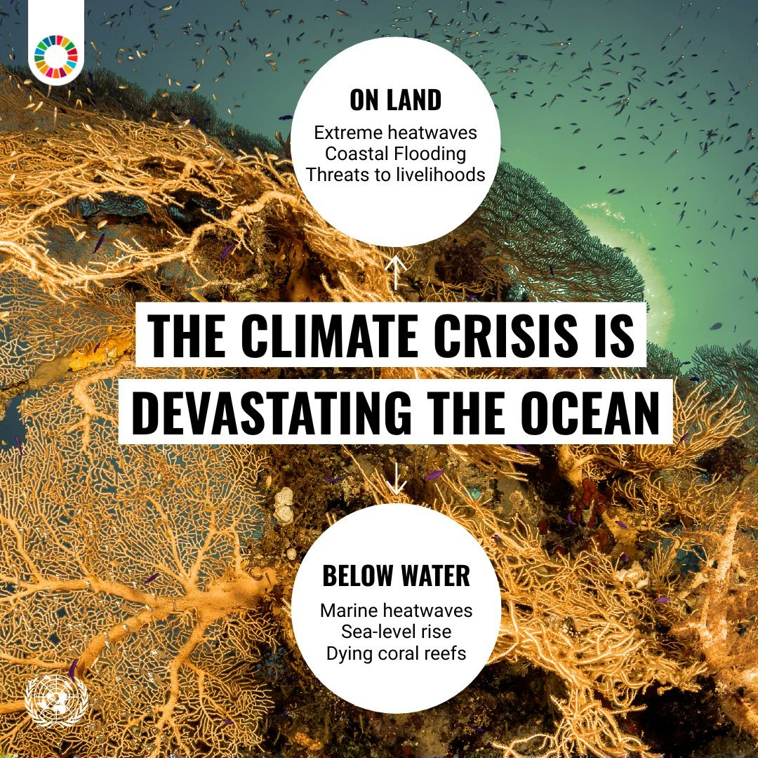 Photo post from @UNOPS.