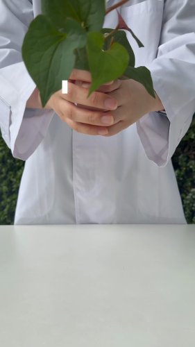 Video post from @dermed_jp.