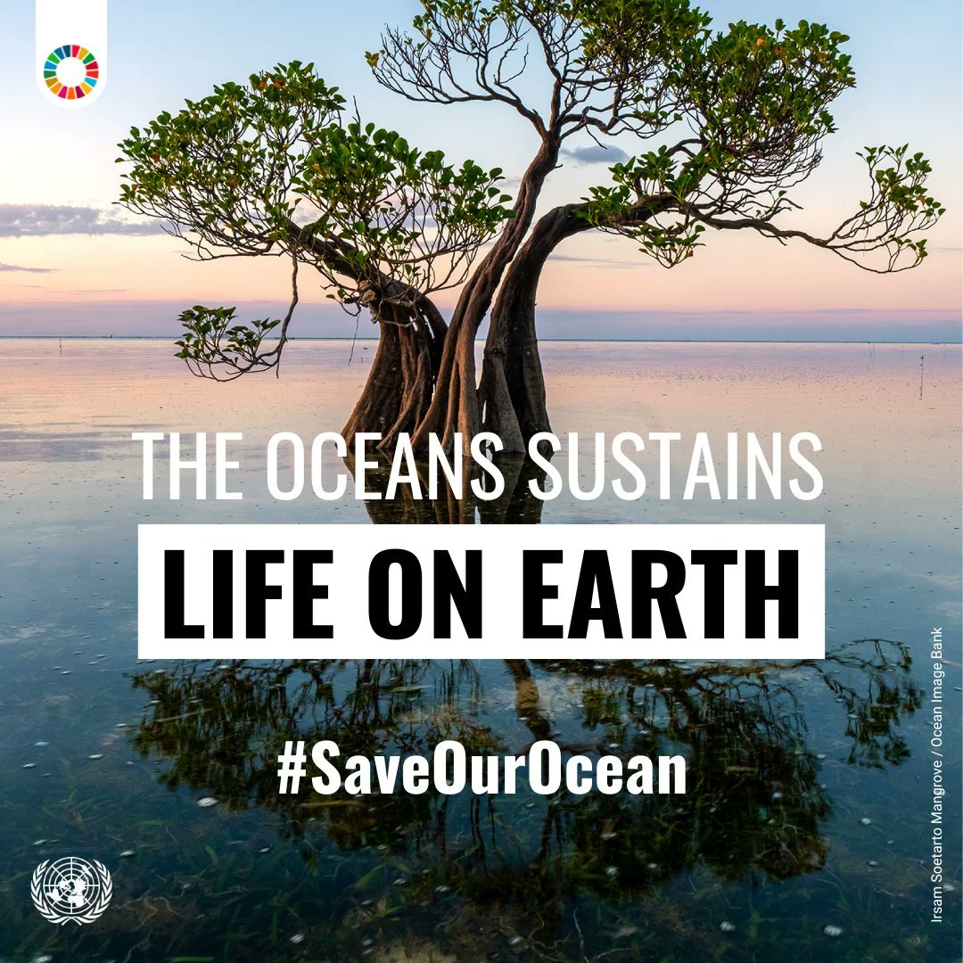 Photo post from @UNOPS.