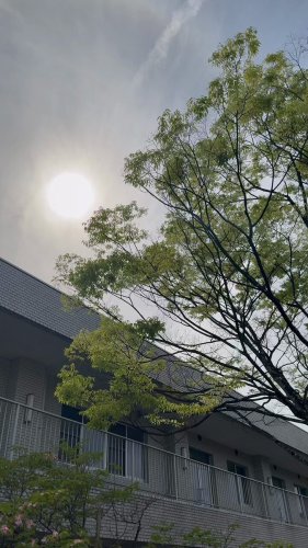 Video post from @dermed_jp.