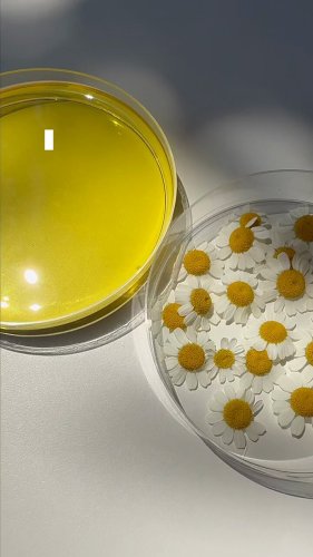 Video post from @dermed_jp.