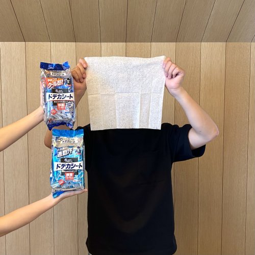 Photo post from @elleairofficial.