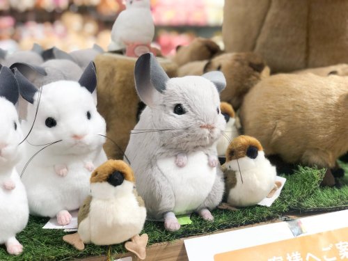 Carousel post from @yoshitoku_plush.