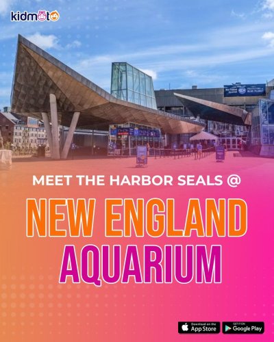 Photo post from @kidmototech.