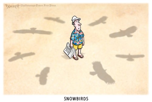 Photo post from @BennettCartoons.