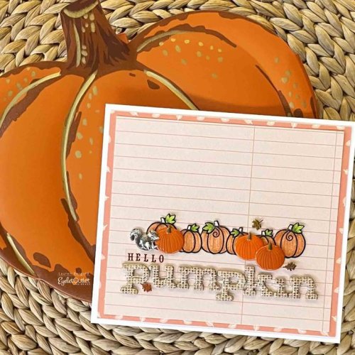 Photo post from Eyelet Outlet.