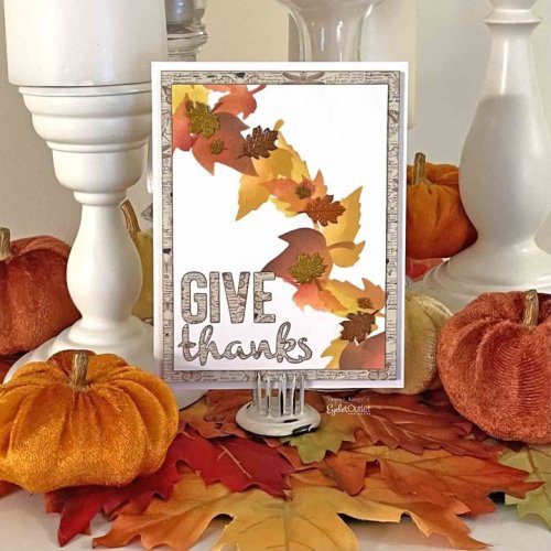 Photo post from Eyelet Outlet.