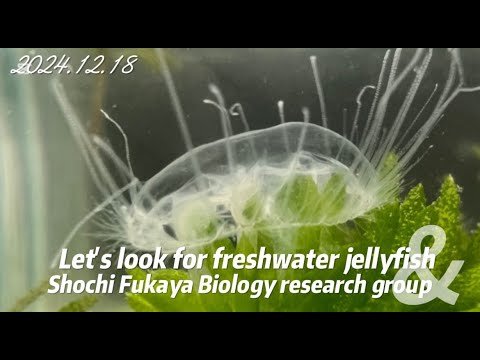 Video post from Youth Water Forum.