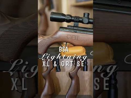 Video post from airgunsofarizona.