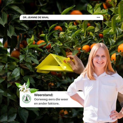 Photo post from Laeveld Agrochem.