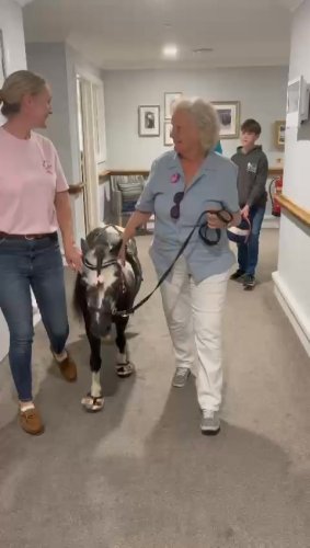 Video post from Charlton Lodge Care Home.