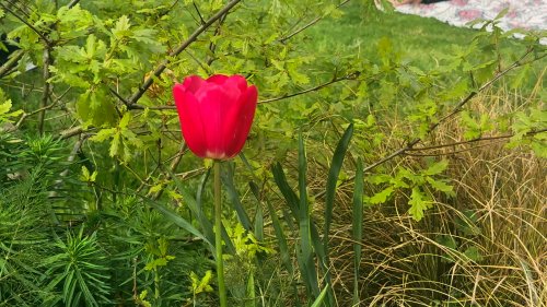 Video post from Lauder Lodge.