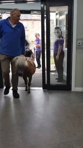 Video post from Lauder Lodge.