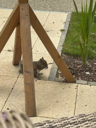 Carousel post from Ayton House Care Home.