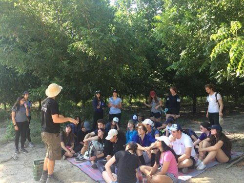 Carousel post from NCSY TJJ Ambassadors Poland.