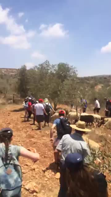 Video post from NCSY TJJ Ambassadors Poland.