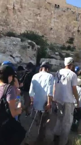 Video post from NCSY TJJ Lions.
