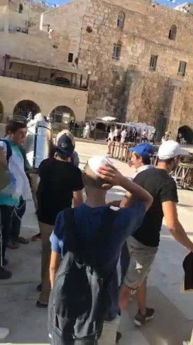 Video post from NCSY TJJ Lions.