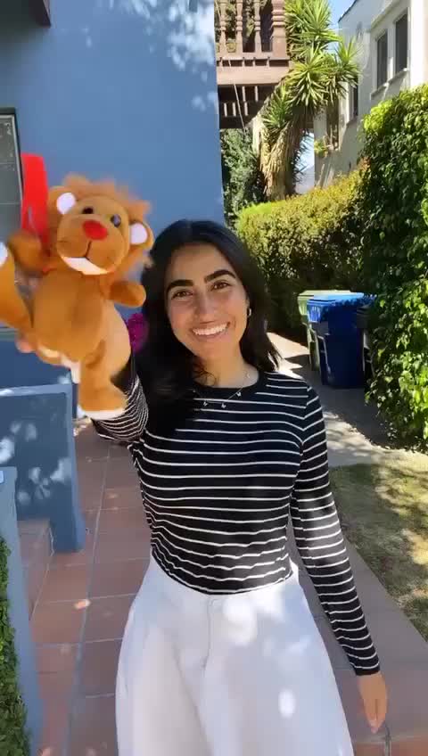 Video post from NCSY TJJ Lions.
