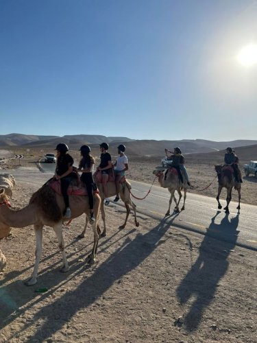 Carousel post from NCSY TJJ Lions.