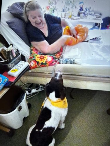 Carousel post from Woodland Hall Care Home.