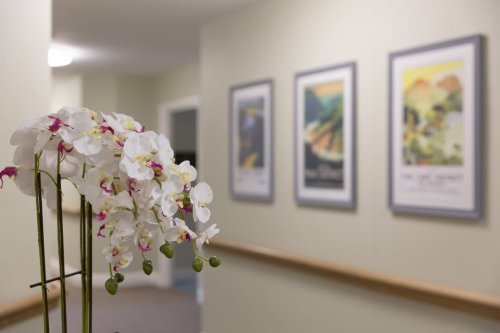 Photo post from Woodland Hall Care Home.