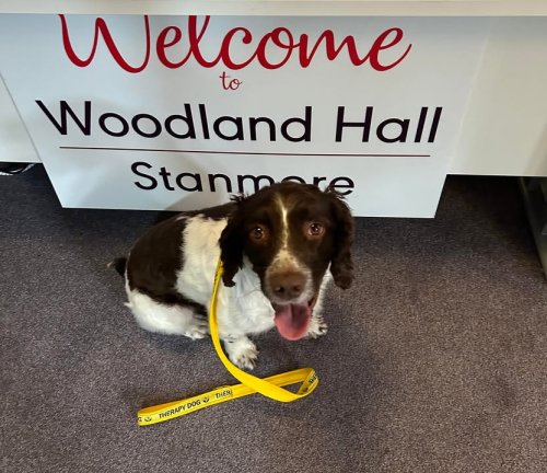Carousel post from Woodland Hall Care Home.