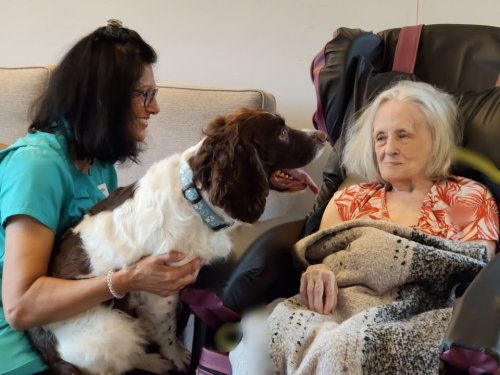 Carousel post from Woodland Hall Care Home.