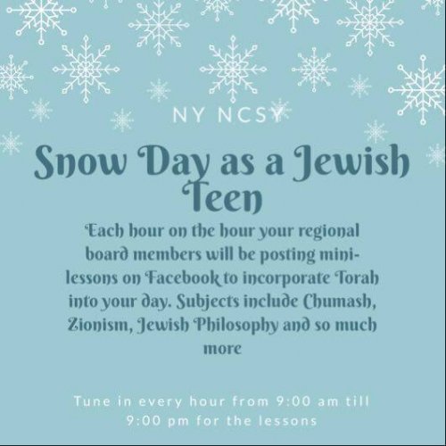 Photo post from New York NCSY.