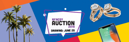 Photo post from New York NCSY.