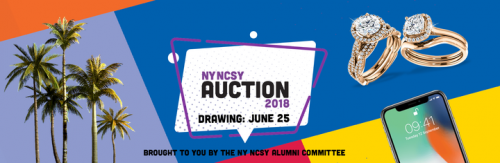 Photo post from New York NCSY.