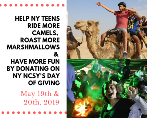 Photo post from New York NCSY.
