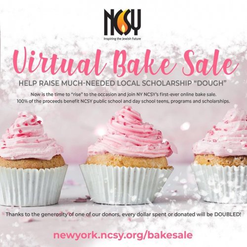 Photo post from New York NCSY.